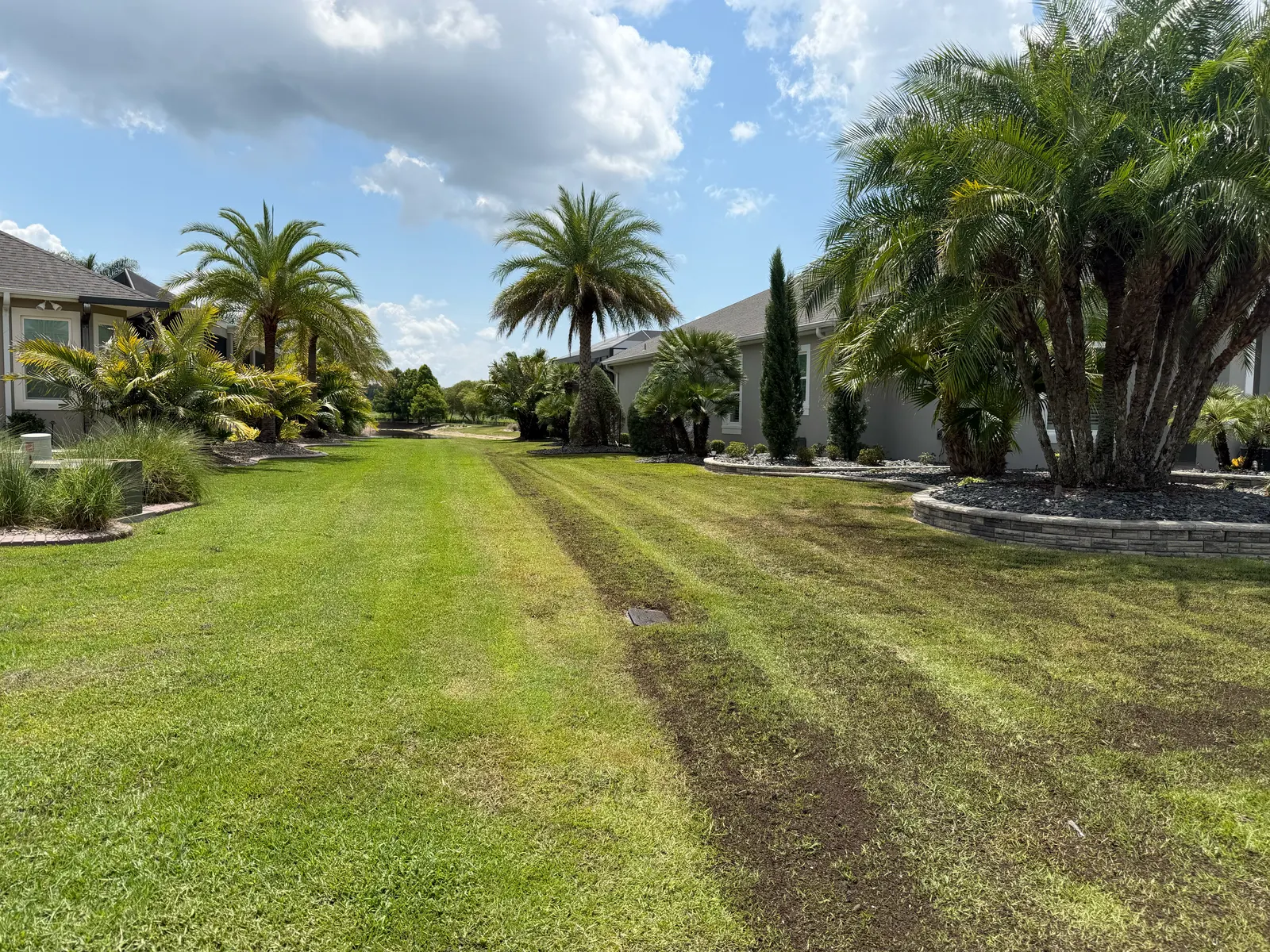Compost top dressing spread over an aerated lawn