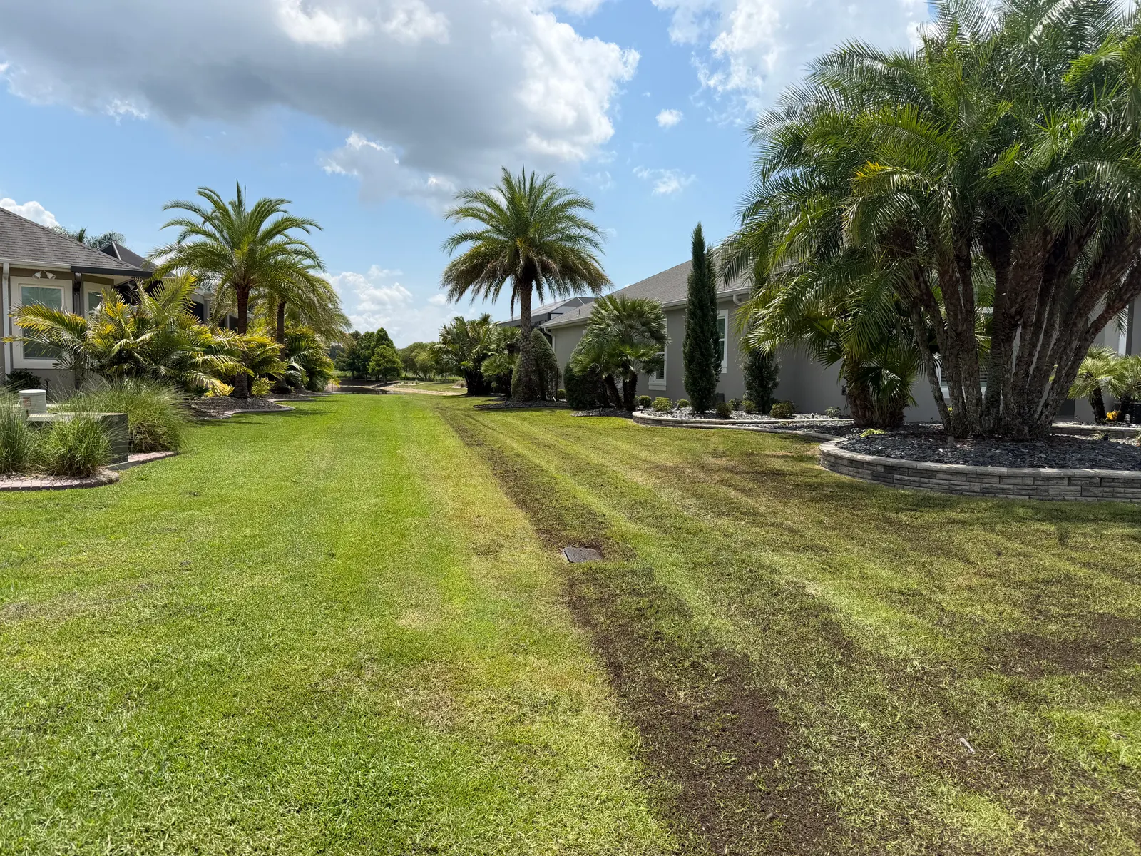 Top-dressed lawn next to untreated neighbor
