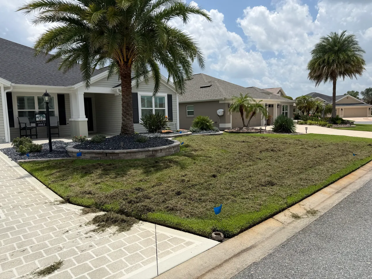 After — dethatched & cleared