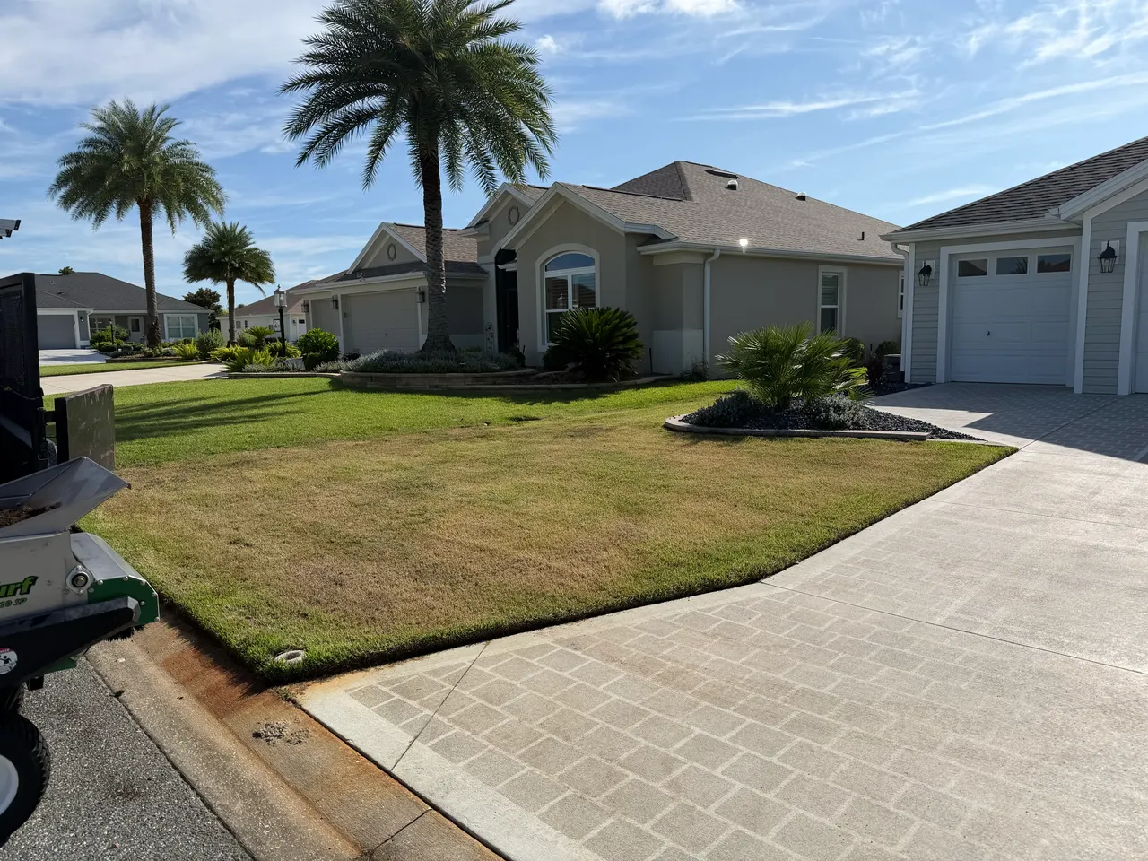 Before — uneven, bumpy turf
